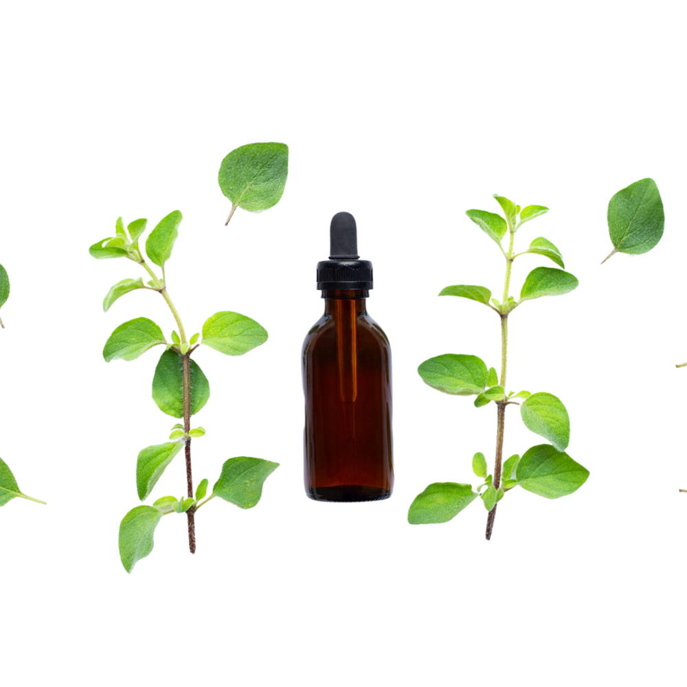 Organic Oregano Oil