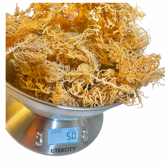 Wildcrafted Raw Sea Moss